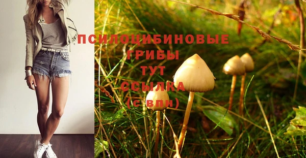 экстази Абаза