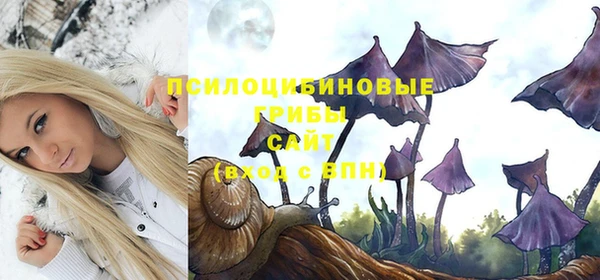 спайс Абдулино