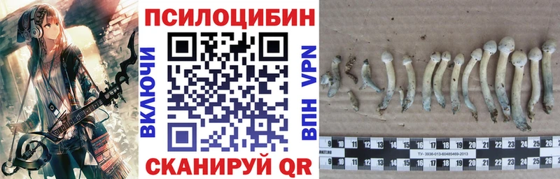 Псилоцибиновые грибы ЛСД наркошоп Новое Девяткино